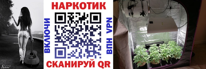 Названия наркотиков Алапаевск МЕТАДОН Гашиш Cocaine Псилоцибиновые грибы СОЛЬ АМФЕТАМИН