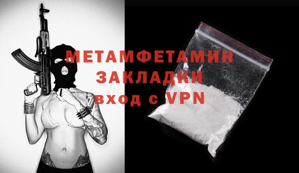 прущие грибы Михайлов