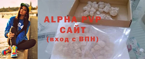 прущие грибы Михайлов