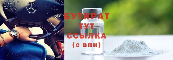 прущие грибы Михайлов