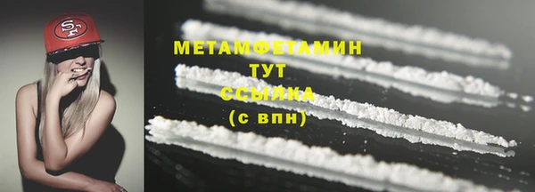 прущие грибы Михайлов
