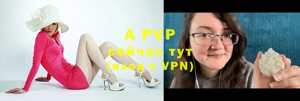 прущие грибы Михайлов