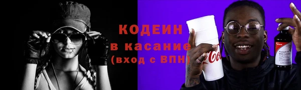 прущие грибы Михайлов