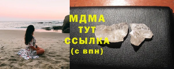 прущие грибы Михайлов