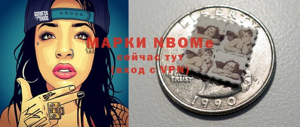 прущие грибы Михайлов