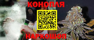 прущие грибы Дубна