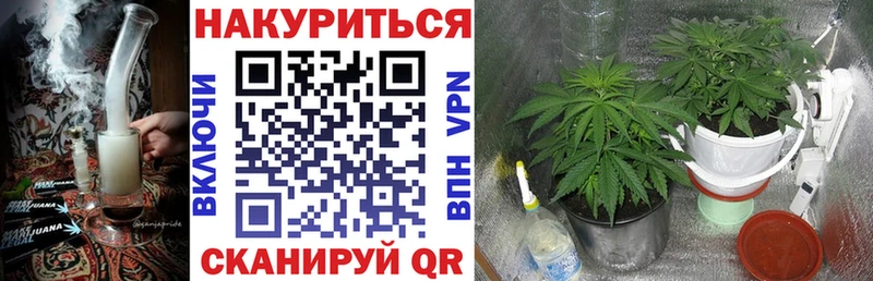 МАРИХУАНА сатива где продают Алапаевск